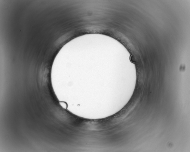 X0000102000071200808151457