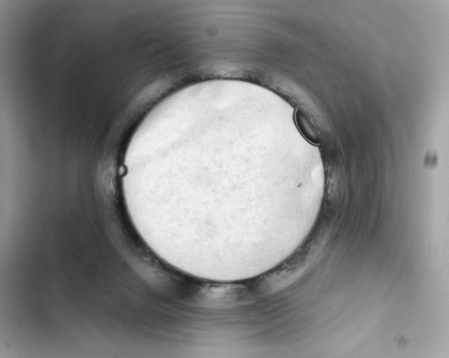 X0000102000072200808151457