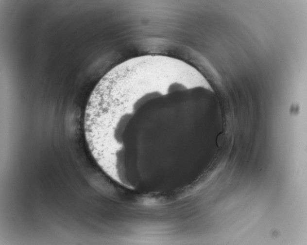 X0000102000073200808151457