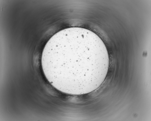 X0000102000074200808151457