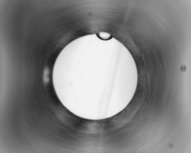 X0000102000075200808151457