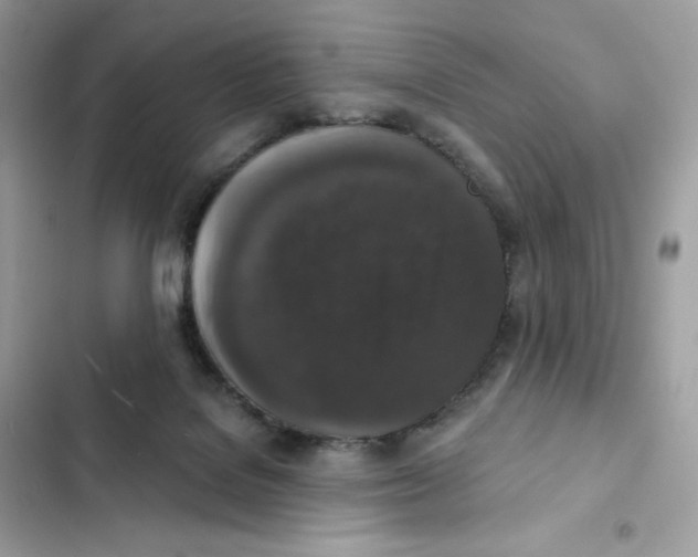 X0000102000076200808151457