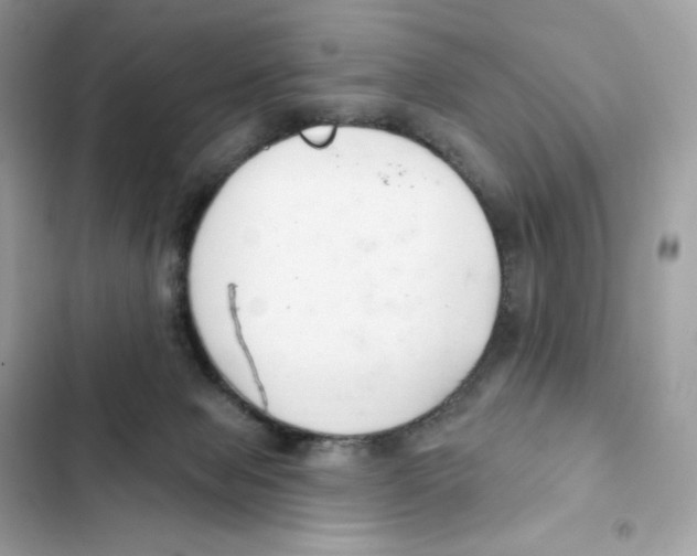 X0000102000077200808151457