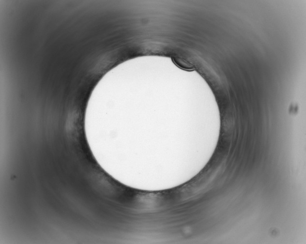 X0000102000079200808151457