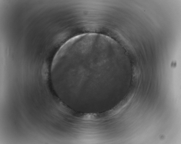 X0000102000080200808151457