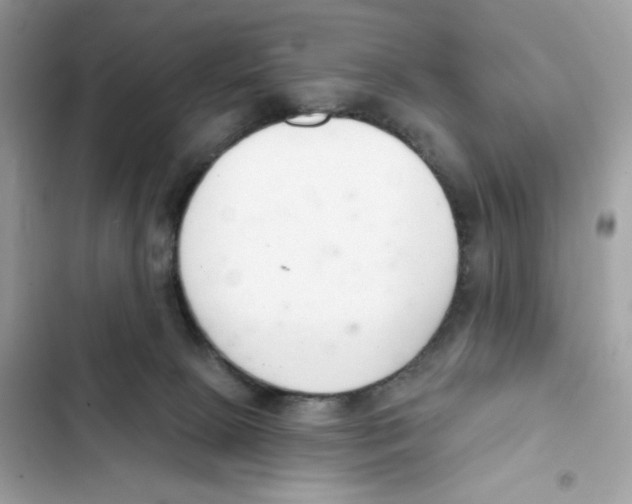 X0000102000081200808151457