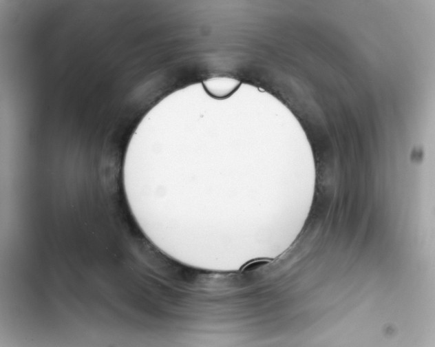 X0000102000082200808151457