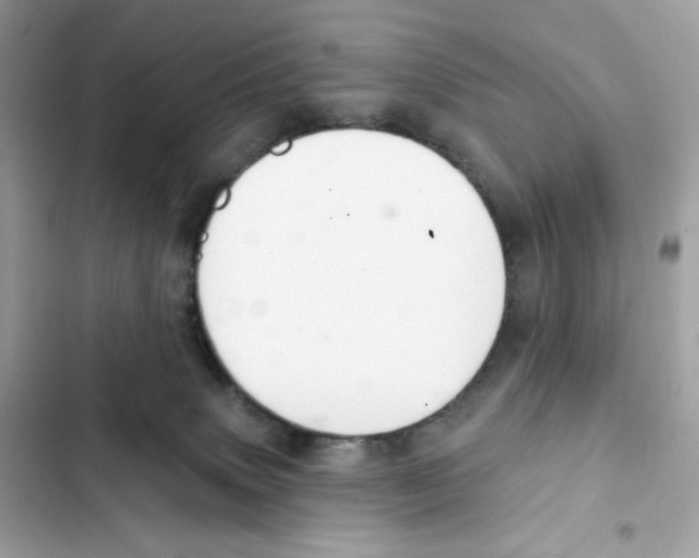 X0000102000083200808151457