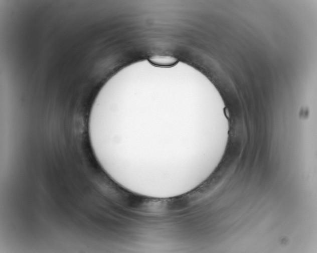 X0000102000084200808151457