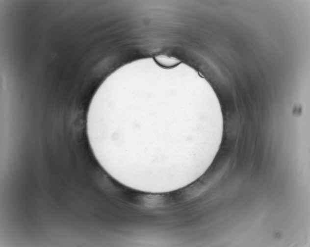 X0000102000085200808151457