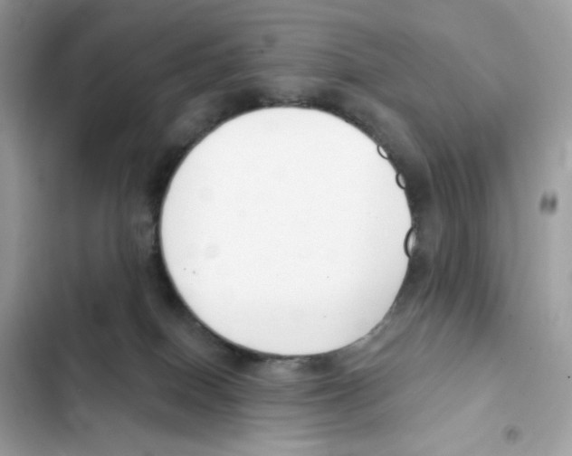 X0000102000086200808151457