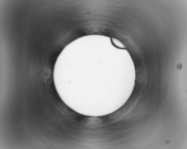 X0000102000087200808151457