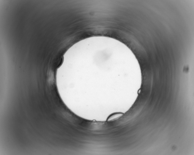 X0000102000089200808151457