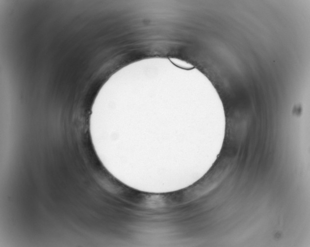 X0000102000091200808151457