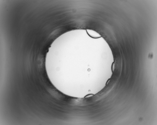 X0000102000092200808151457