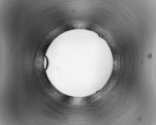 X0000102000093200808151457