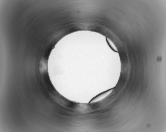 X0000102000095200808151457