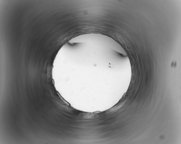 X0000102000096200808151457