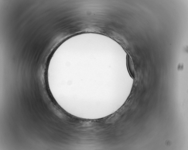 X0000102000098200808151457