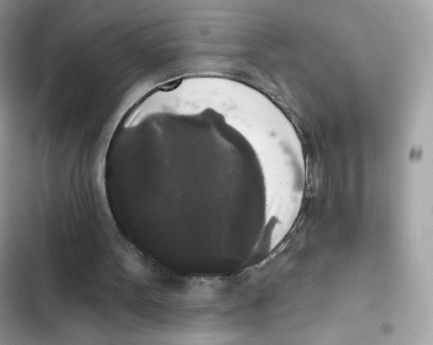 X0000102000099200808151457