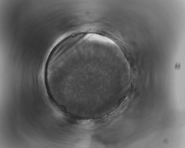 X0000102000100200808151457