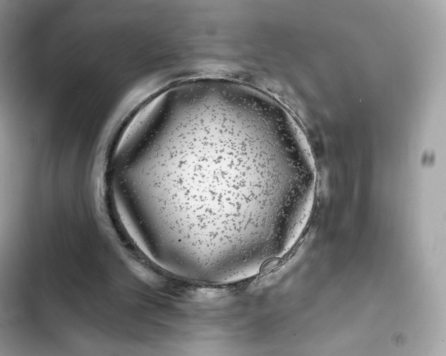 X0000102000101200808151457