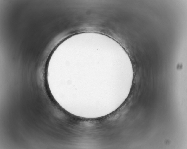 X0000102000103200808151457