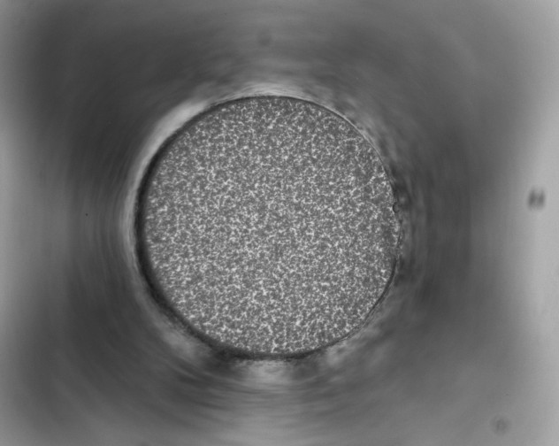 X0000102000104200808151457