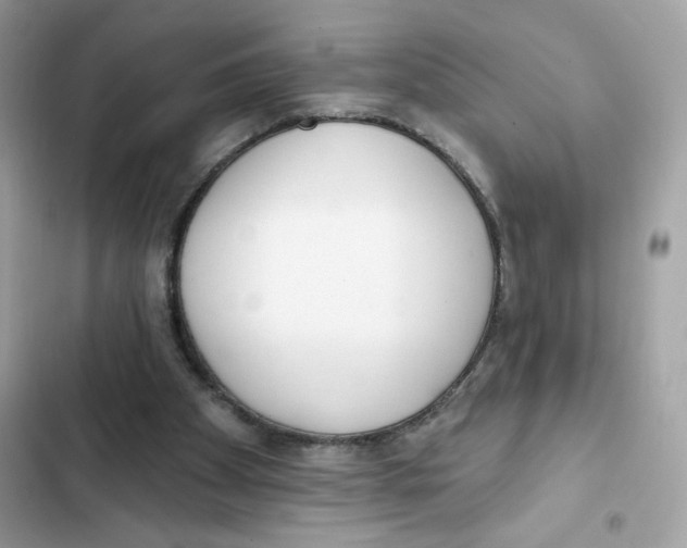 X0000102000105200808151457