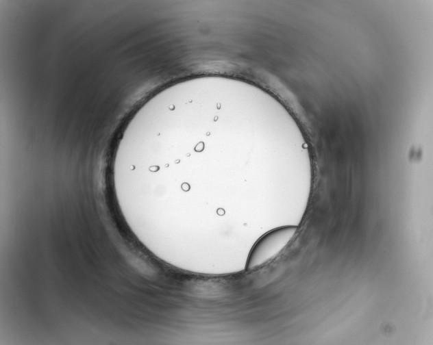 X0000102000106200808151457