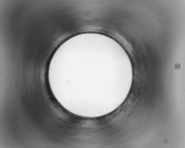 X0000102000107200808151457