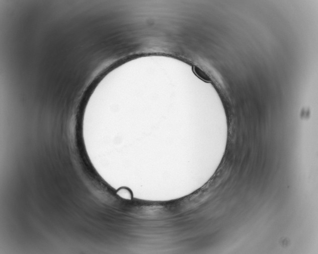 X0000102000108200808151457