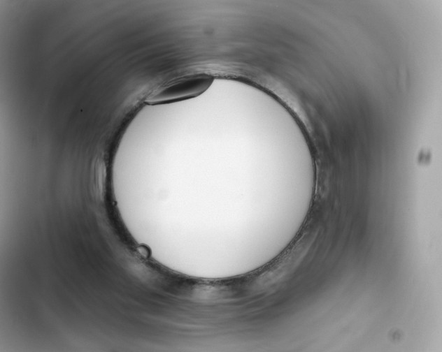 X0000102000109200808151457