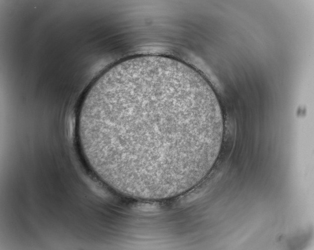 X0000102000110200808151457