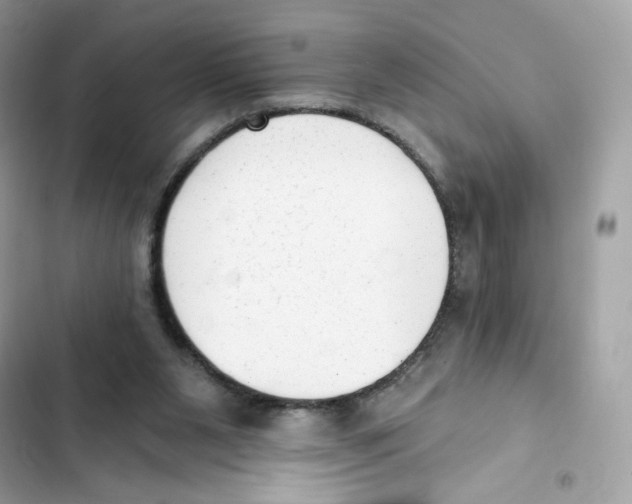 X0000102000111200808151457