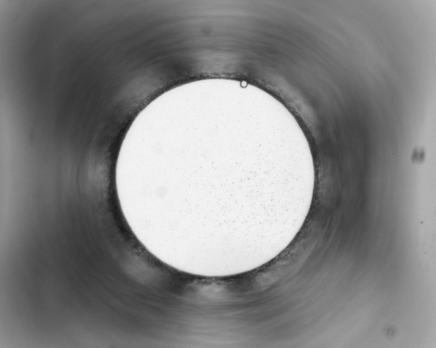 X0000102000113200808151456