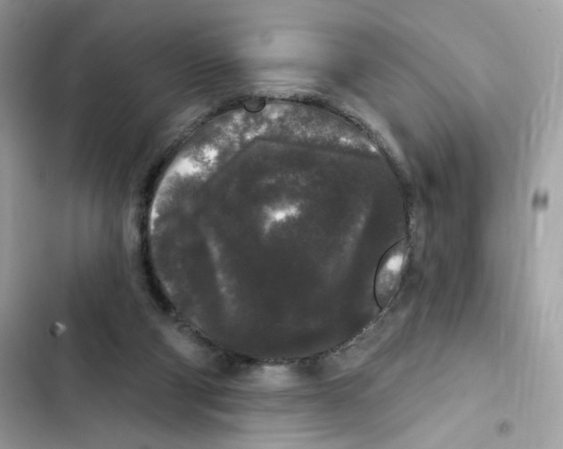 X0000102000114200808151456