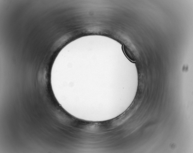 X0000102000116200808151456