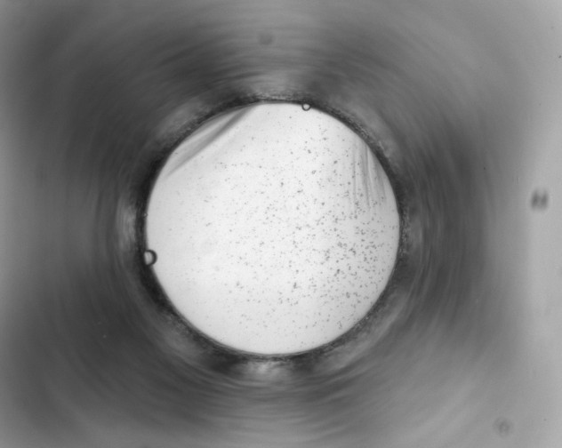 X0000102000117200808151456