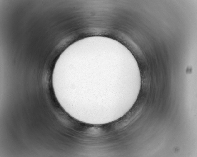 X0000102000119200808151456