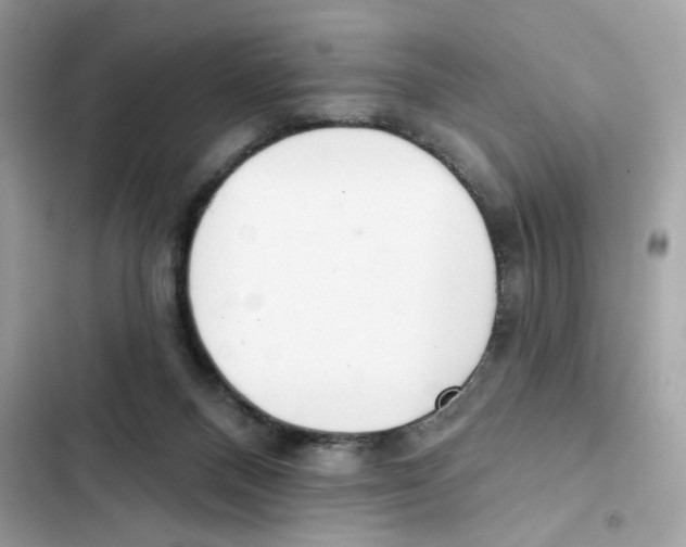 X0000102000120200808151456