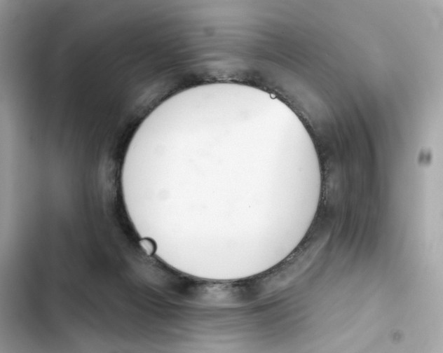 X0000102000121200808151456