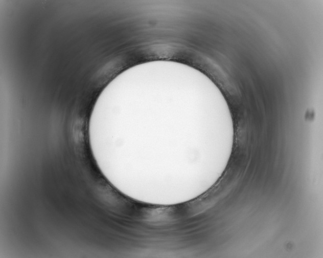 X0000102000122200808151456