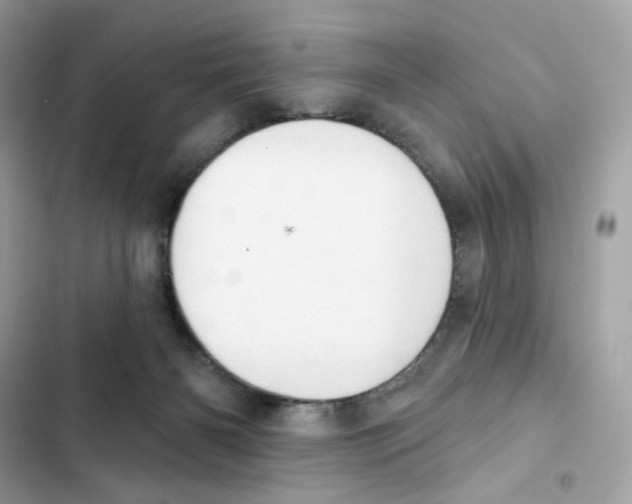 X0000102000126200808151456