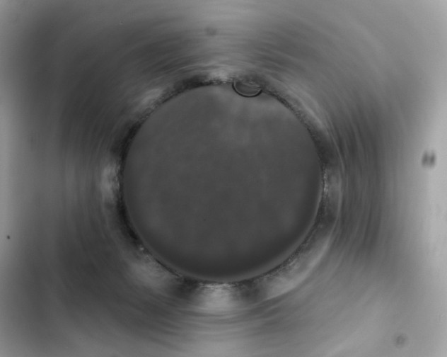 X0000102000127200808151456