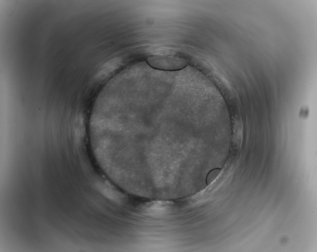 X0000102000128200808151456