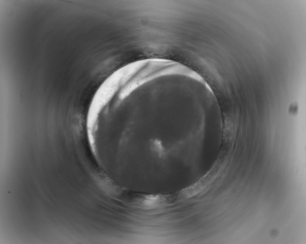 X0000102000130200808151456