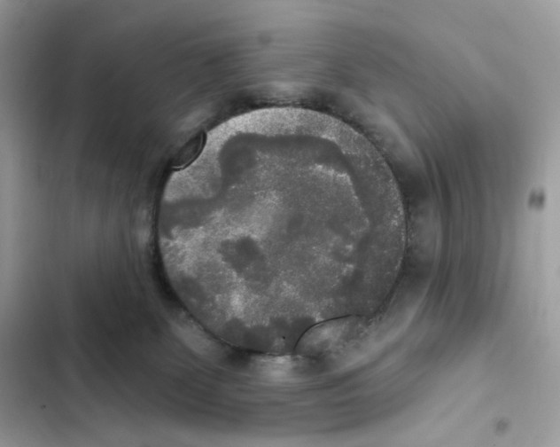 X0000102000131200808151456