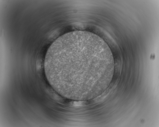 X0000102000134200808151456