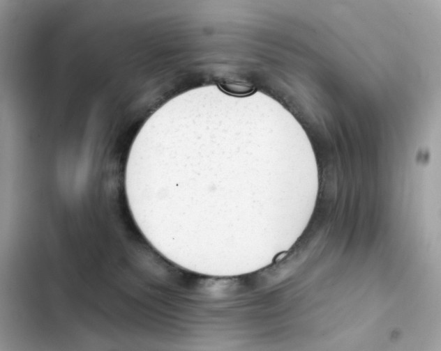 X0000102000135200808151456